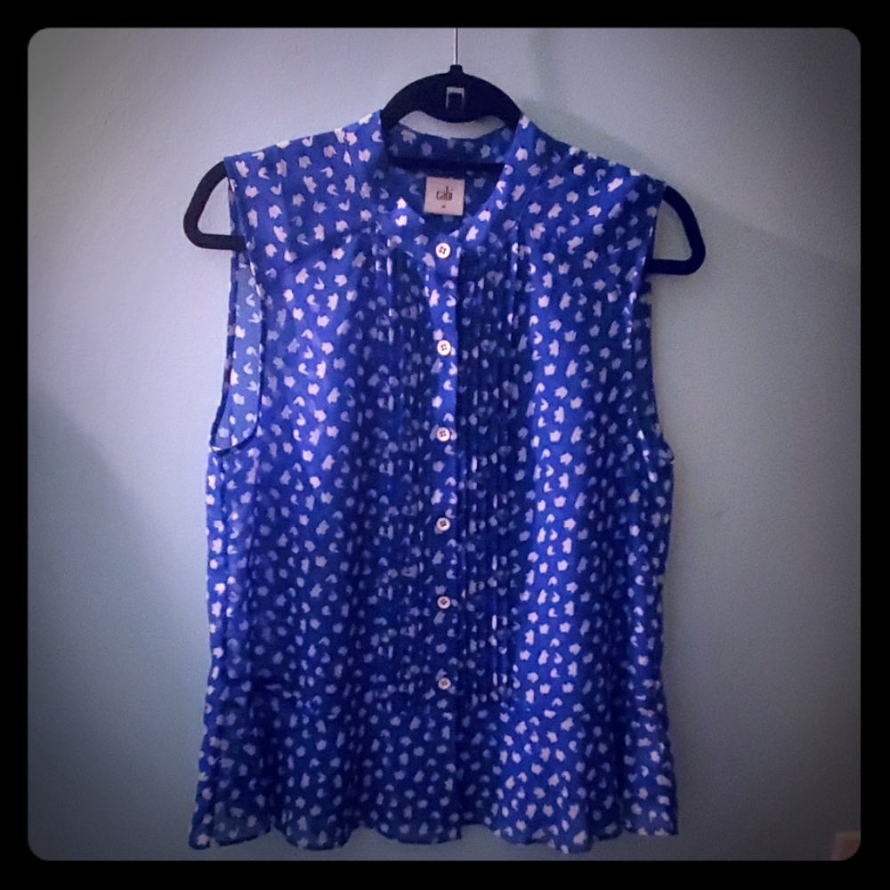 cani---Electric Blouse